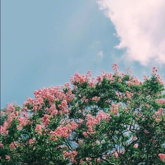 Meet your Posher, Lindsey - Picture 1 of 1